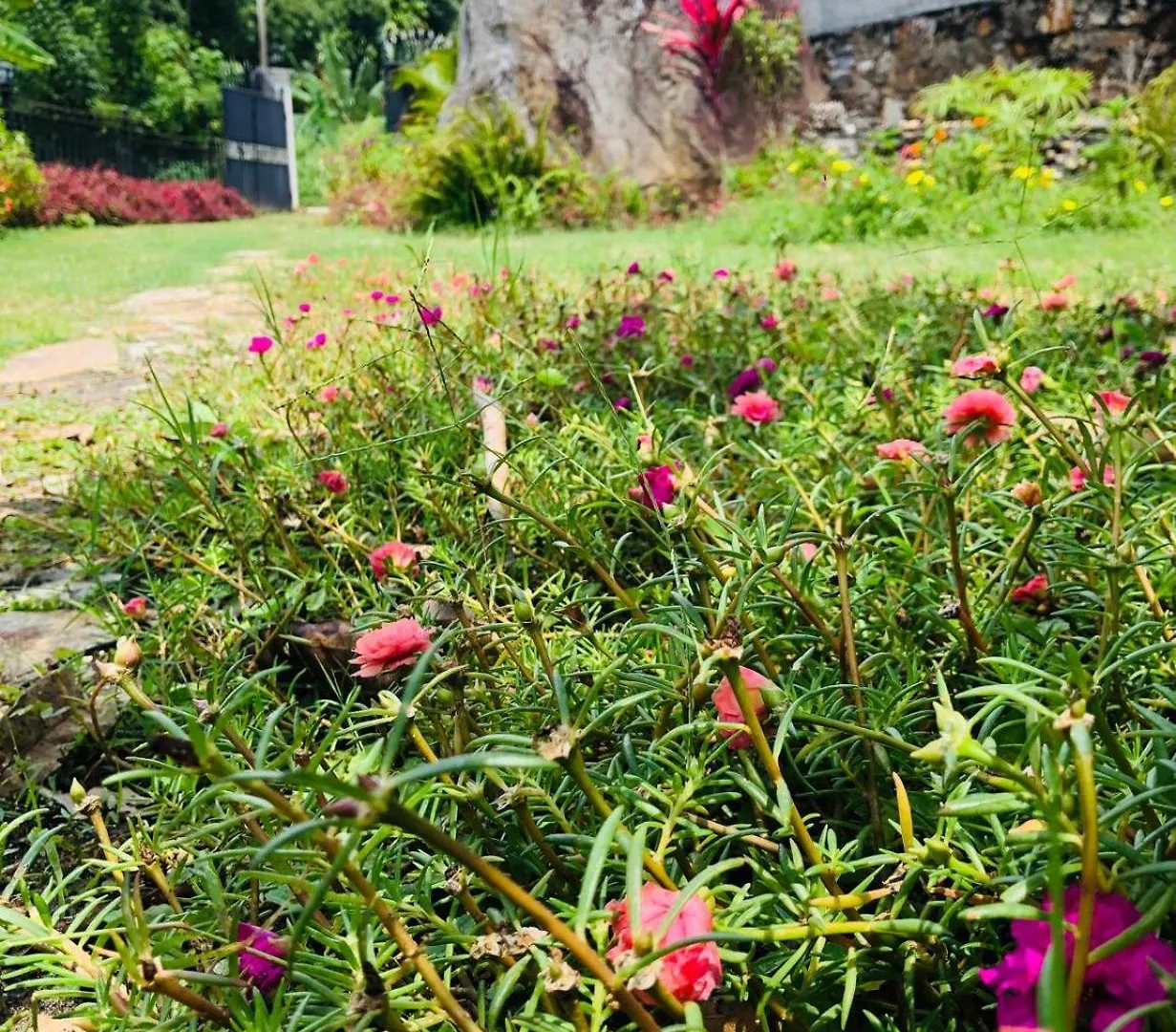 Summerfield Kandy Sri Lanka