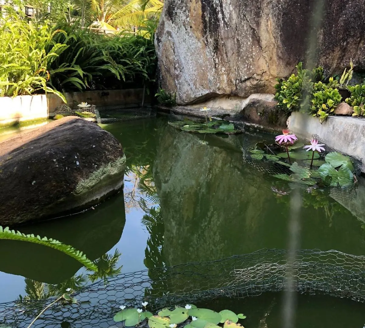 民宿 Summerfield 康提