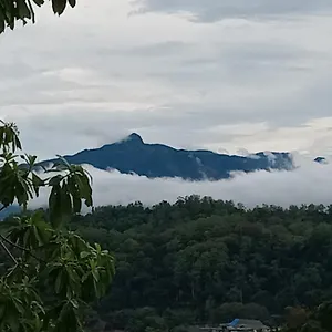 Jily Kandy