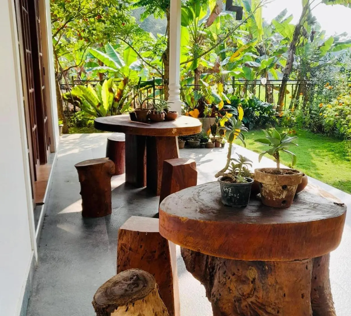 Summerfield Kandy