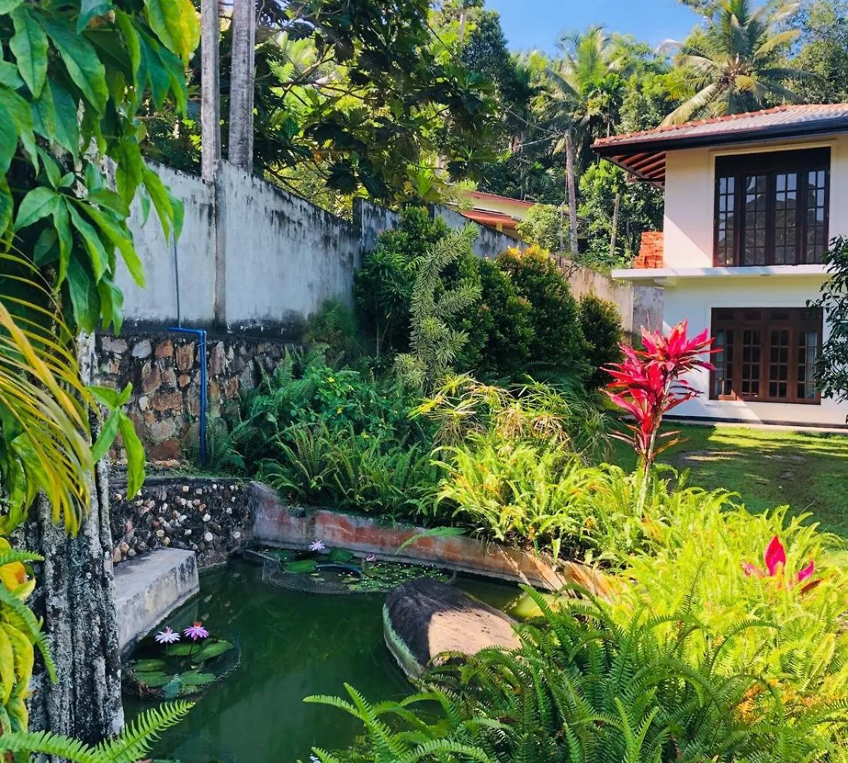 Summerfield Kandy